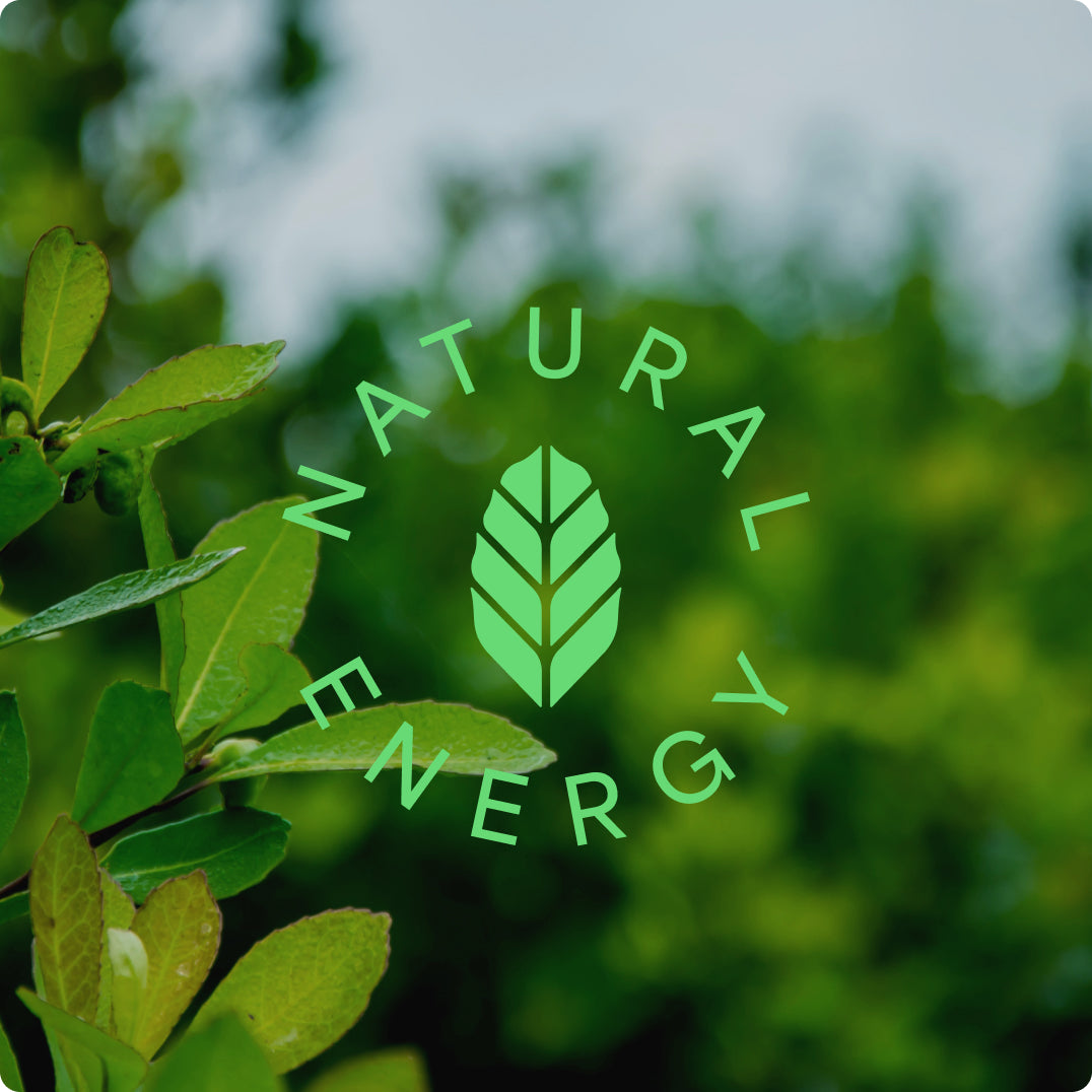 Concentrated Yerba Mate | Appetite Suppression Shot