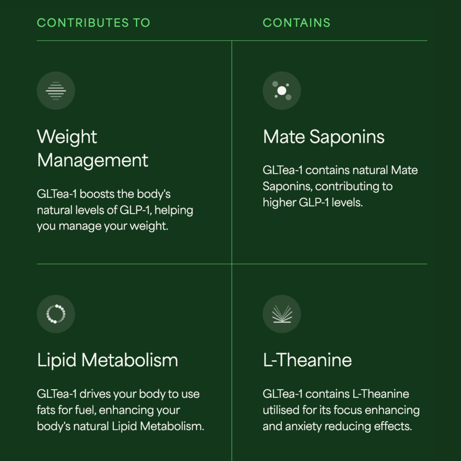 Concentrated Yerba Mate | Appetite Suppression Shot